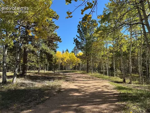 2940 North Rd, Divide, CO 80814 photo 10