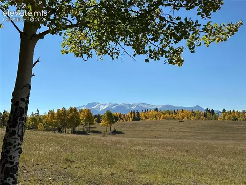 2940 North Rd, Divide, CO 80814 photo 6