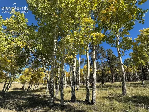 2940 North Rd, Divide, CO 80814 photo 12