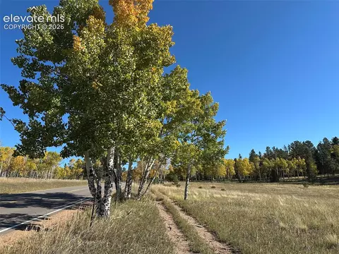 2940 North Rd, Divide, CO 80814 photo 9