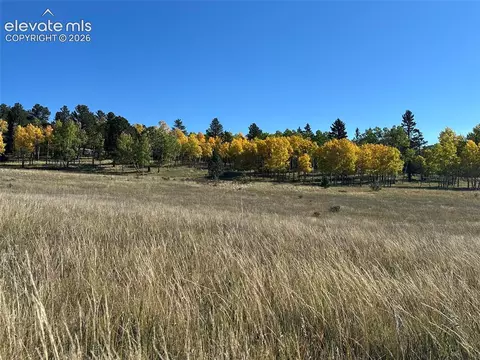 2940 North Rd, Divide, CO 80814 photo 22