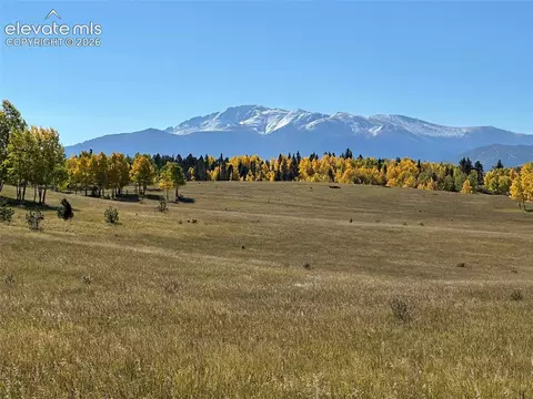 2940 North Rd, Divide, CO 80814 photo 27