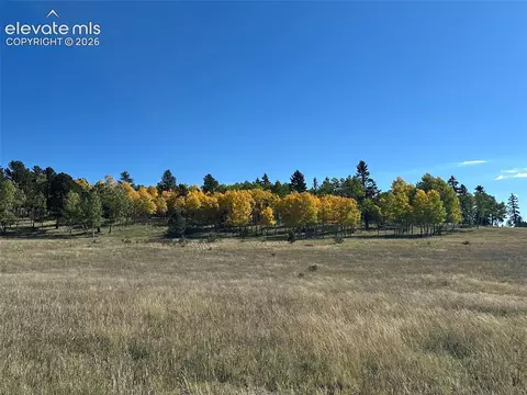 2940 North Rd, Divide, CO 80814 photo 21
