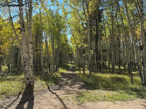 2940 North Rd, Divide, CO 80814 photo 15