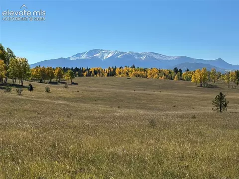 2940 North Rd, Divide, CO 80814 photo 7