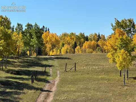 2940 North Rd, Divide, CO 80814 photo 4