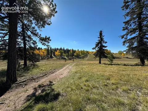2940 North Rd, Divide, CO 80814 photo 17