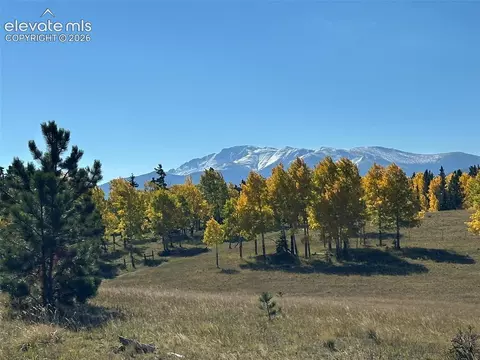 2940 North Rd, Divide, CO 80814 photo 19