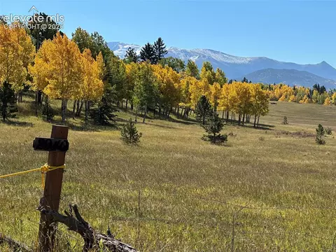2940 North Rd, Divide, CO 80814 photo 25