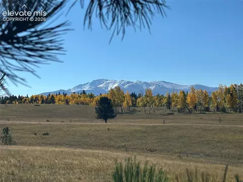 2940 North Rd, Divide, CO 80814 photo 18