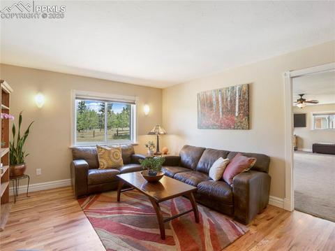 320 Ridge Dr, Divide, CO 80814 photo 22