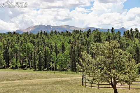 320 Ridge Dr, Divide, CO 80814 photo 2