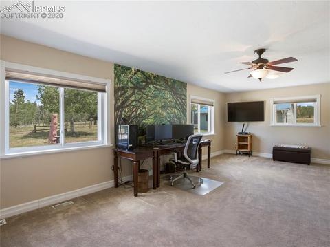 320 Ridge Dr, Divide, CO 80814 photo 25