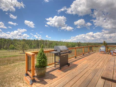 320 Ridge Dr, Divide, CO 80814 photo 35