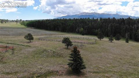 320 Ridge Dr, Divide, CO 80814 photo 3
