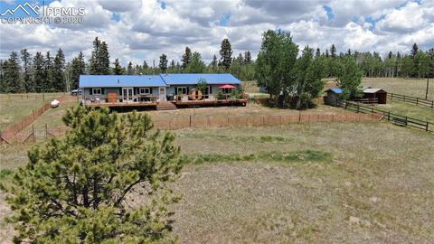 320 Ridge Dr, Divide, CO 80814 photo 44