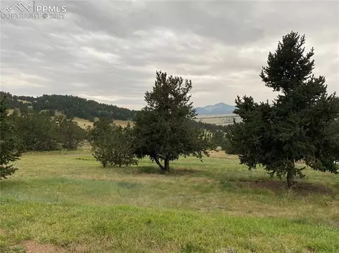 3000 County Road 59 Na Na, Guffey, CO 80820 photo 44