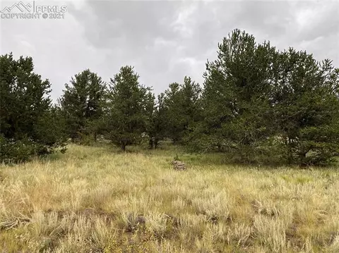 3000 County Road 59 Na Na, Guffey, CO 80820 photo 46