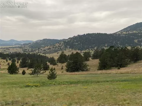 3000 County Road 59 Na Na, Guffey, CO 80820 photo 47