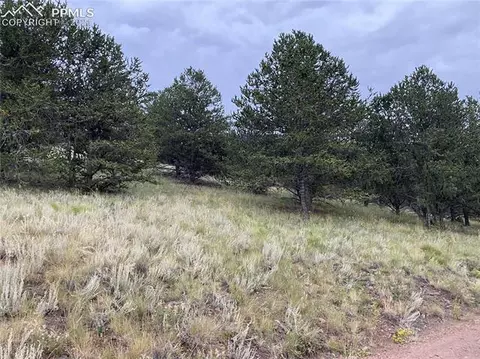 3000 County Road 59 Na Na, Guffey, CO 80820 photo 45