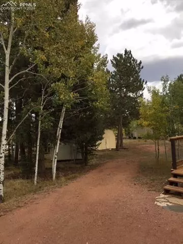 164 Aspen Cir, Divide, CO 80814 photo 2