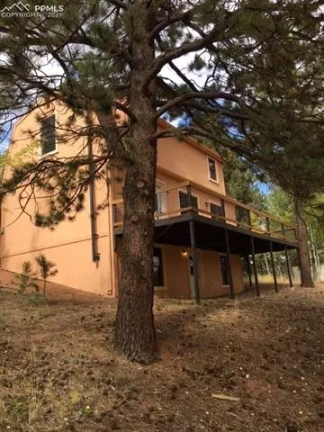 164 Aspen Cir, Divide, CO 80814 photo 3