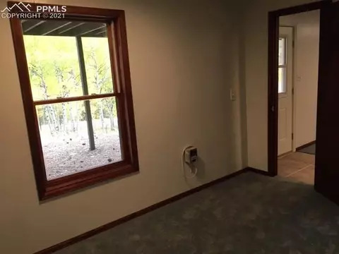 164 Aspen Cir, Divide, CO 80814 photo 23