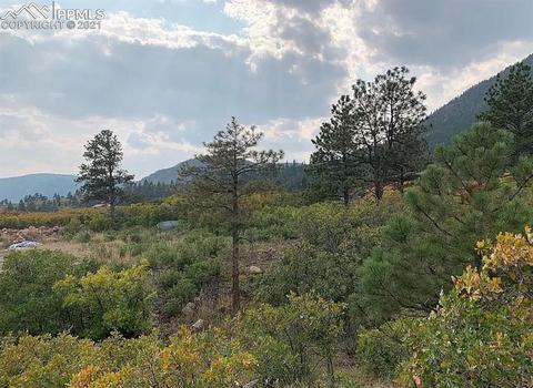 4510 Turner Rd, Monument, CO 80132 photo 3