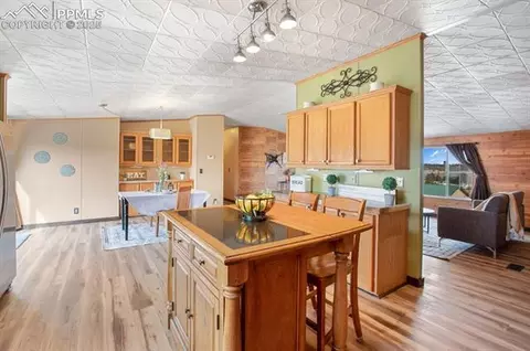 338 Doublet Ln, Divide, CO 80814 photo 10