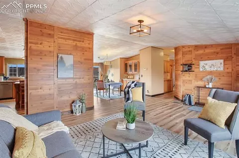 338 Doublet Ln, Divide, CO 80814 photo 6
