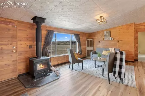 338 Doublet Ln, Divide, CO 80814 photo 7