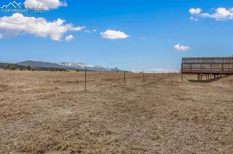 338 Doublet Ln, Divide, CO 80814 photo 30