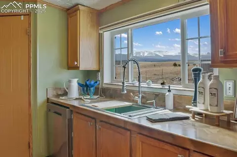 338 Doublet Ln, Divide, CO 80814 photo 11
