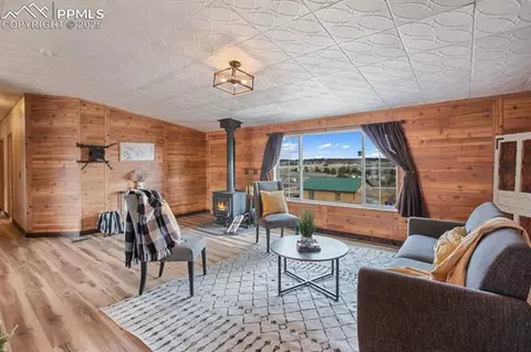 338 Doublet Ln, Divide, CO 80814 photo 8