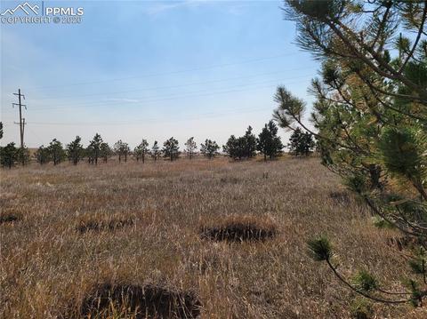 828 Ute Ave, Simla, CO 80835 photo 5