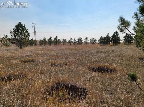 828 Ute Ave, Simla, CO 80835 photo 3