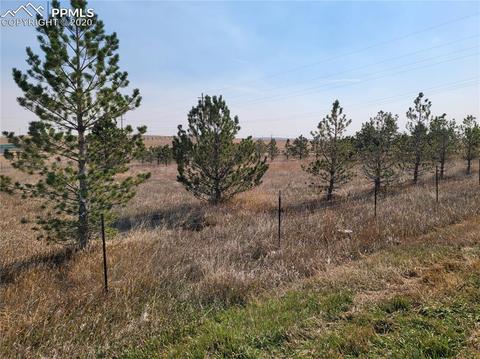 828 Ute Ave, Simla, CO 80835 photo 2
