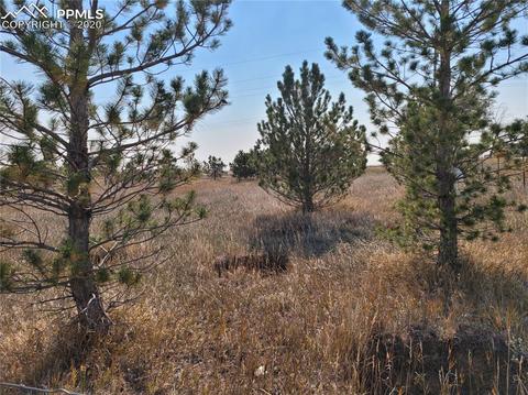 828 Ute Ave, Simla, CO 80835 photo 1