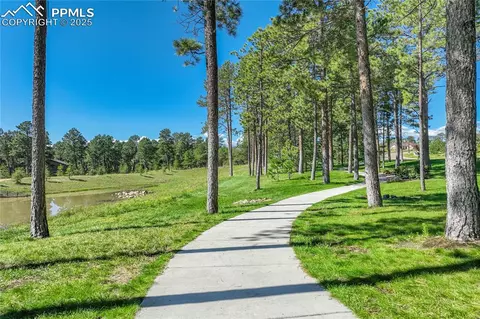16420 Mountain Glory Dr, Monument, CO 80132 photo 45