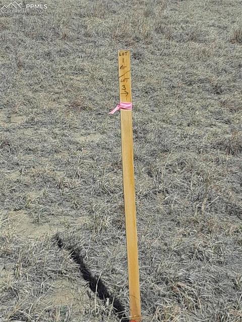 3115 Obdulio Pt, Rush, CO 80864 photo 16