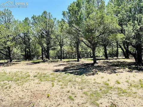 445 Sioux Cir, Canon City, CO 81212