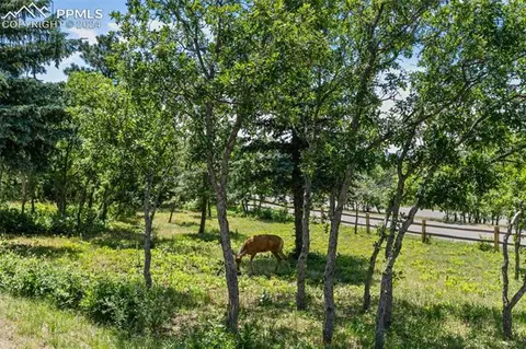 335 Scrub Oak Way, Monument, CO 80132