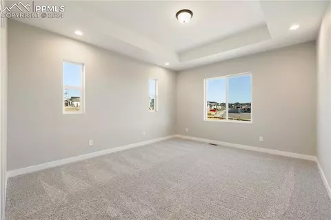 997 Sunny Shore Dr, Monument, CO 80132 photo 19