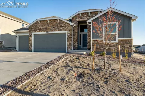 997 Sunny Shore Dr, Monument, CO 80132 photo 2