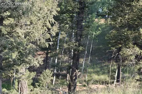 110 Blue Mesa Dr, Divide, CO 80814 photo 2