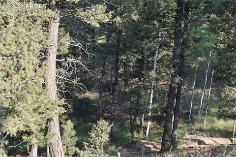 110 Blue Mesa Dr, Divide, CO 80814 photo 6