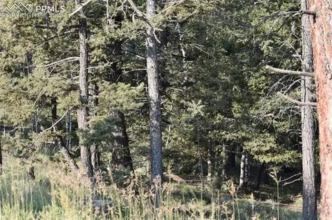 110 Blue Mesa Dr, Divide, CO 80814 photo 5