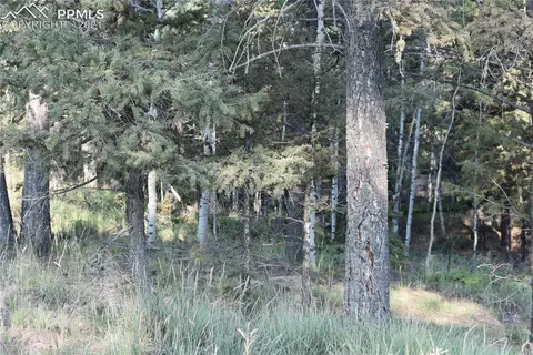 110 Blue Mesa Dr, Divide, CO 80814 photo 1
