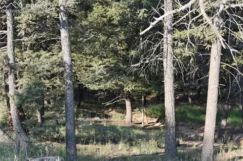 110 Blue Mesa Dr, Divide, CO 80814 photo 3