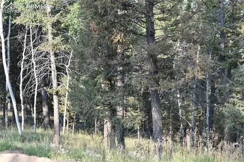 110 Blue Mesa Dr, Divide, CO 80814 photo 8